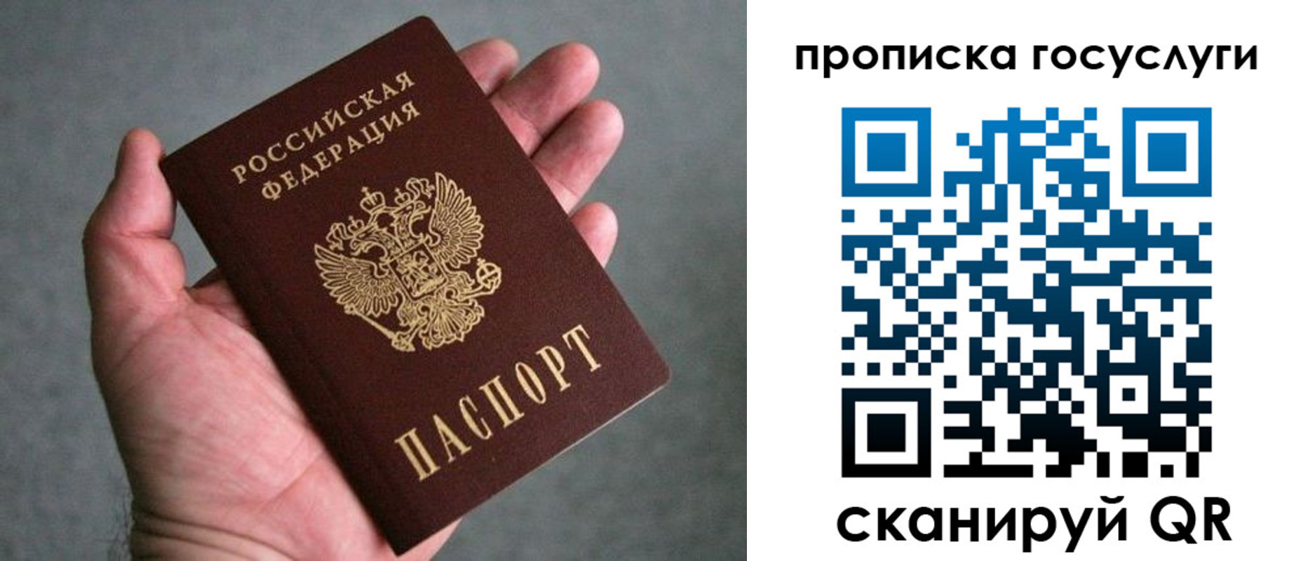 прописка 2025 в Жердевке